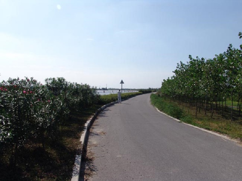 C:\Users\GH\Desktop\图片\闵行~三角渡段堤防.jpg C:\Users\GH\Desktop\图片\闵行~三角渡段堤防.jpg